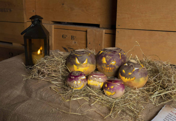terrifying turnips